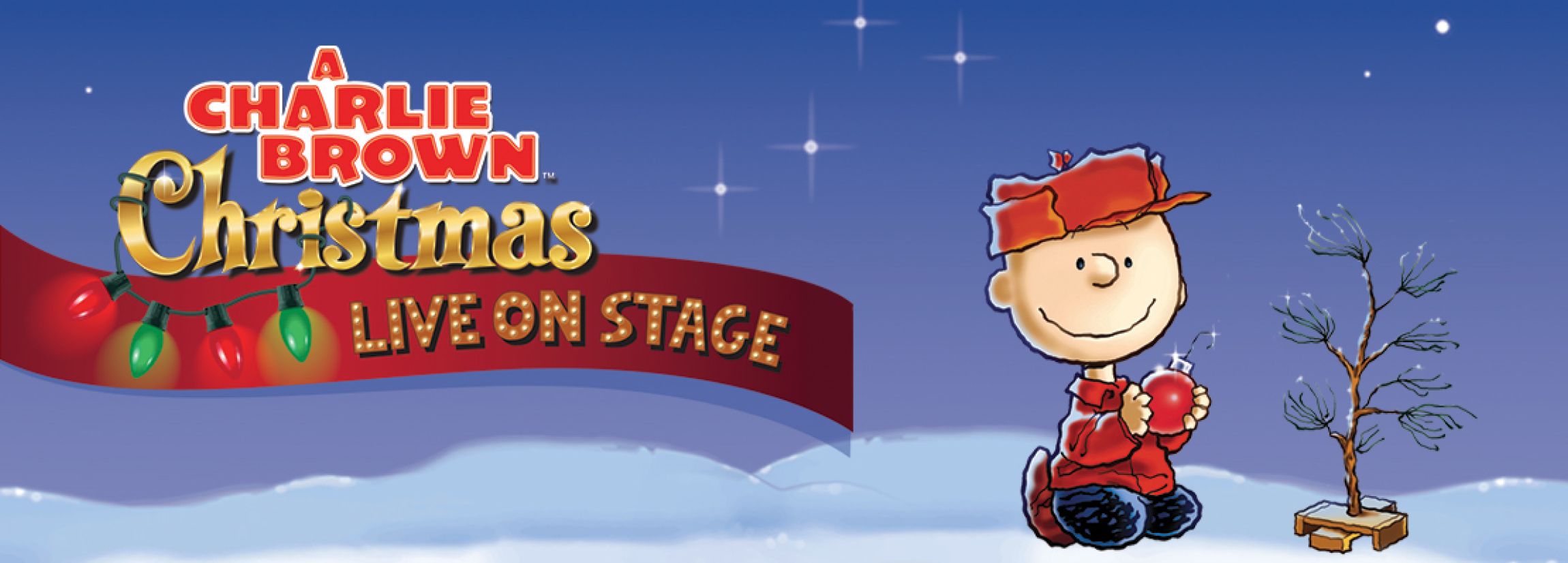 A Charlie Brown Christmas