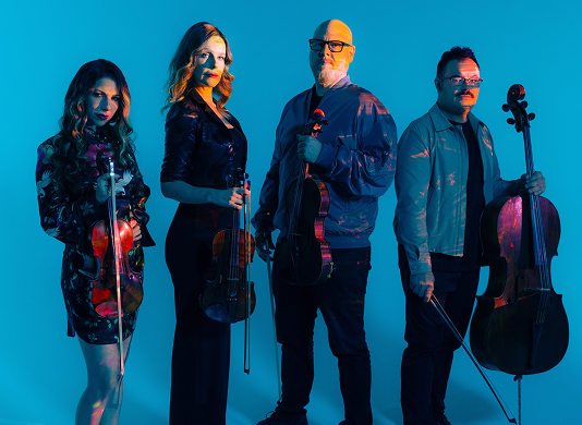 More Info for Vitamin String Quartet