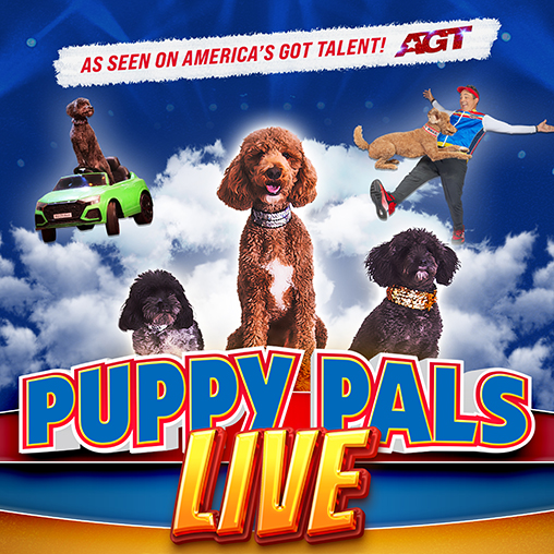 More Info for Puppy Pals